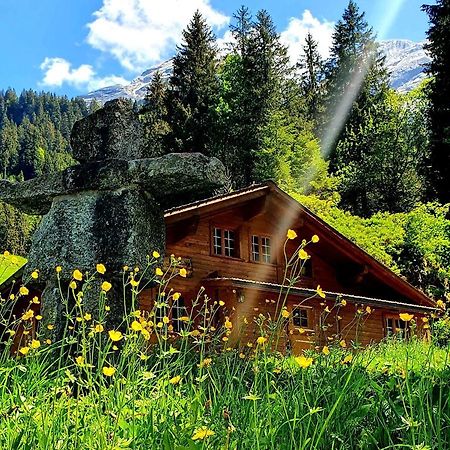 Alpenlodge Willigen Eksteriør bilde