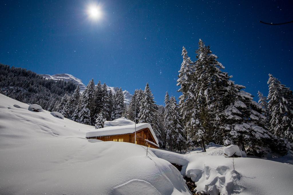 Alpenlodge Willigen Eksteriør bilde