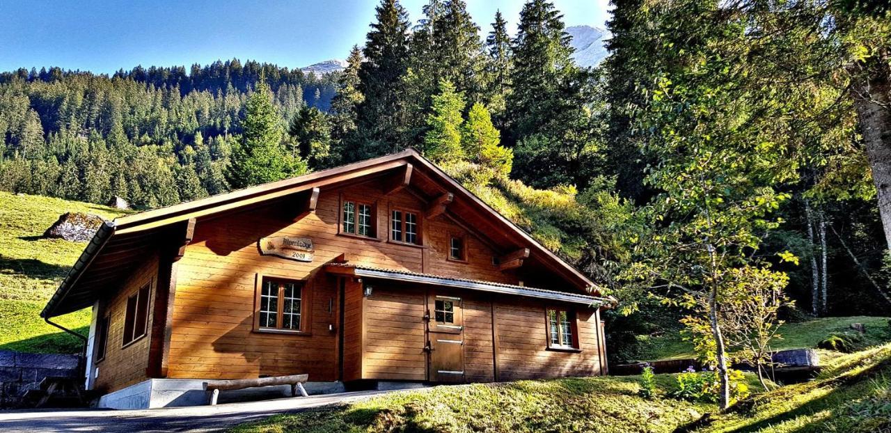 Alpenlodge Willigen Eksteriør bilde