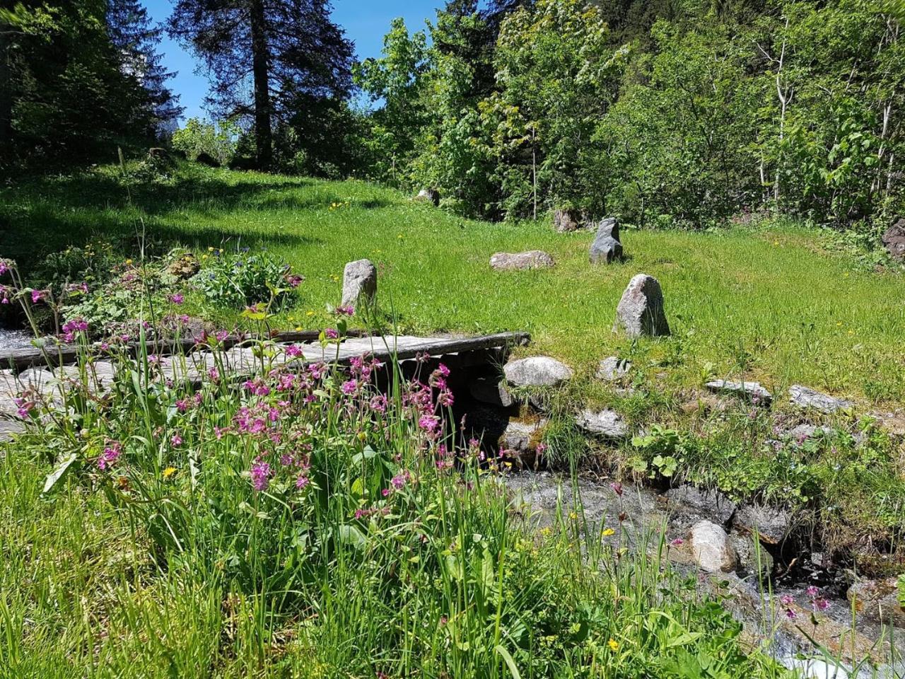 Alpenlodge Willigen Eksteriør bilde