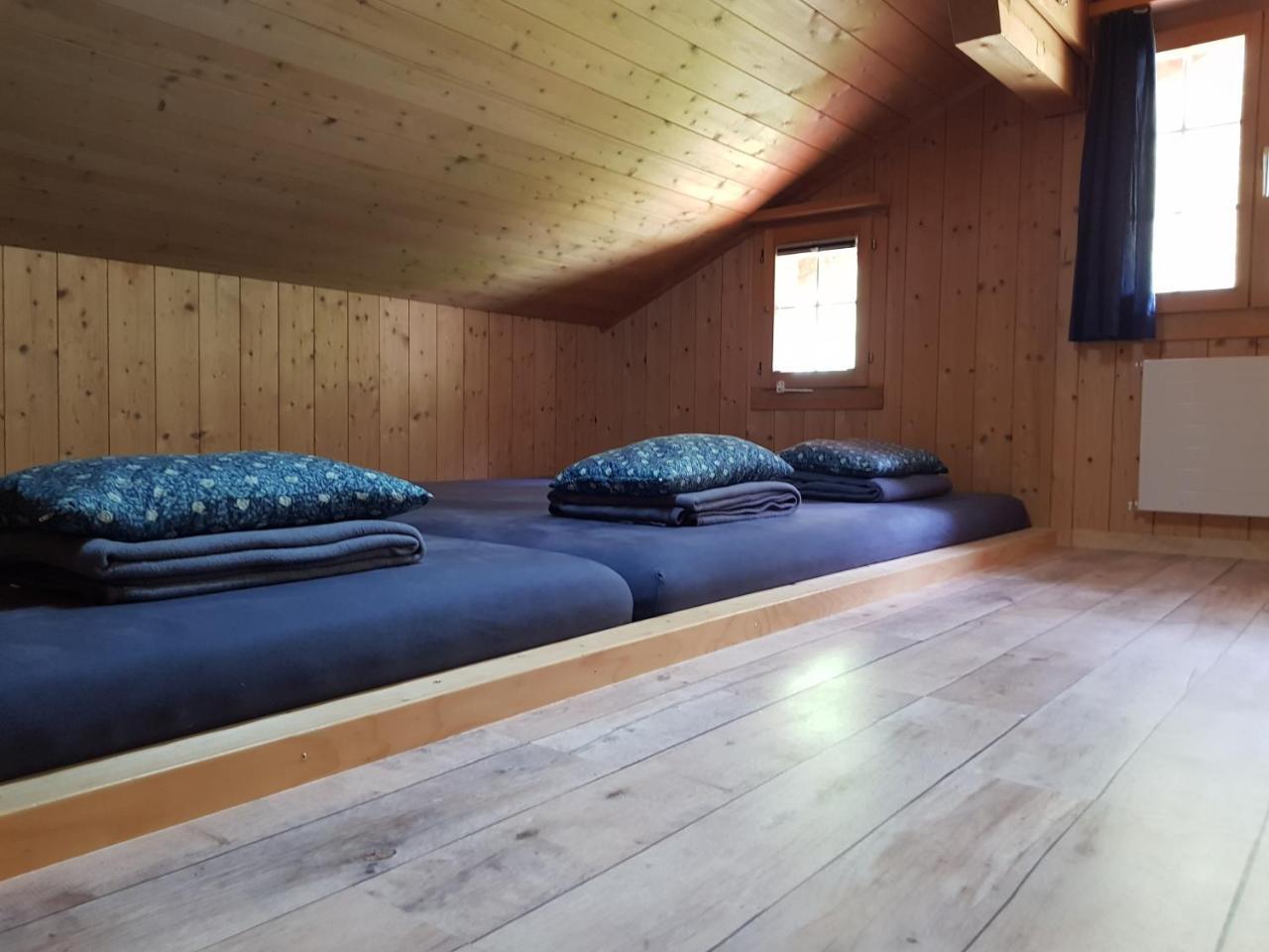 Alpenlodge Willigen Eksteriør bilde